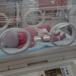 View this image in original resolution: Incubatrice neonatale